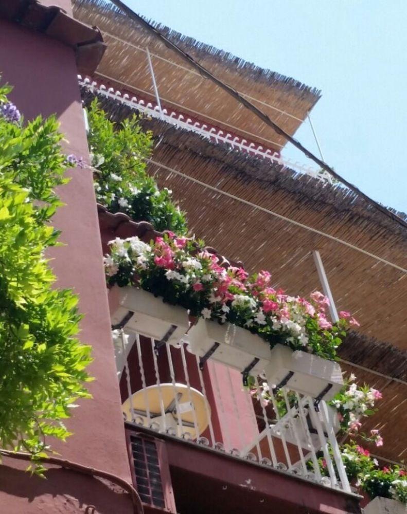 Villa La Tartana Positano Exteriér fotografie